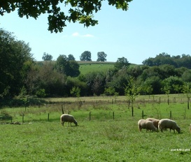 Bauernhof Saint Hilaire les places