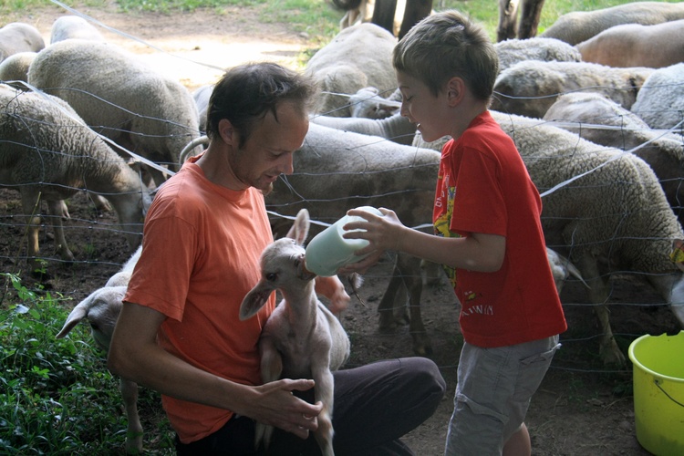 Morgens bei der Tiefütterung