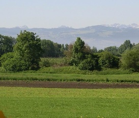 Ferienwohnung Kressbronn am Bodensee