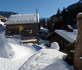 Chalet Jaun