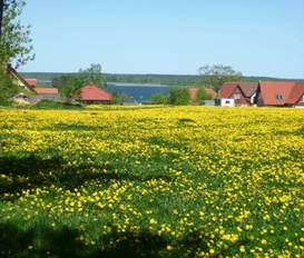 Ferienwohnung Untergöhren