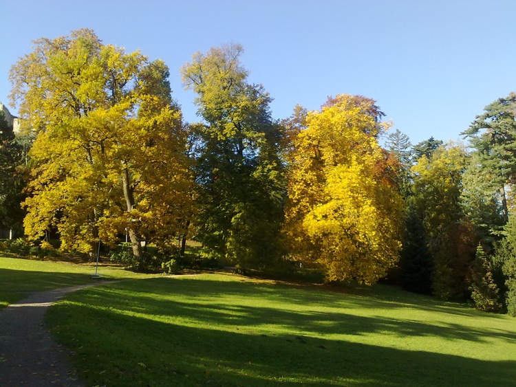 Welch eine Farbenpracht ?