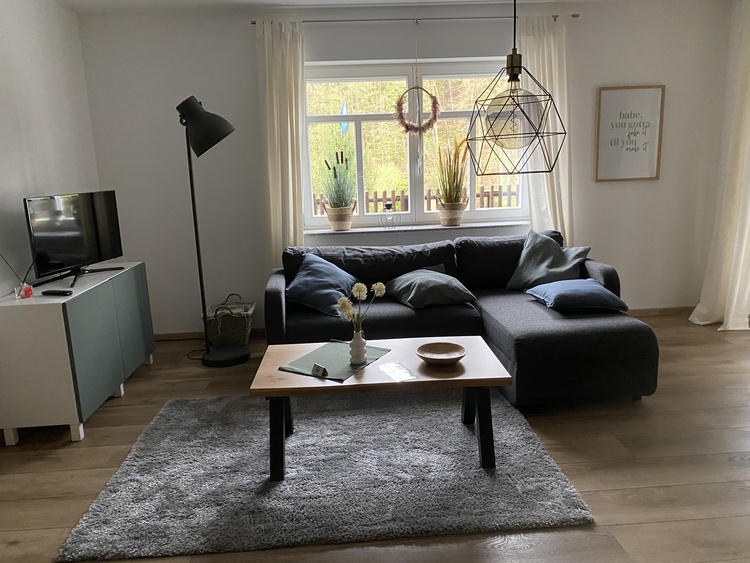Wohnzimmer mit Schlafsofa
