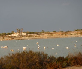Ferienwohnung San Pedro del Pinatar