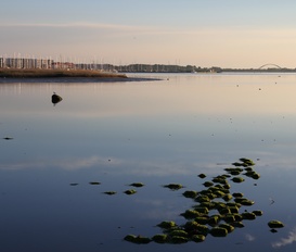 Ferienwohnung Fehmarn