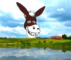 Ferienhaus Koeniginhof an der Elbe