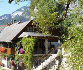 Appartment Bohinjska Bela