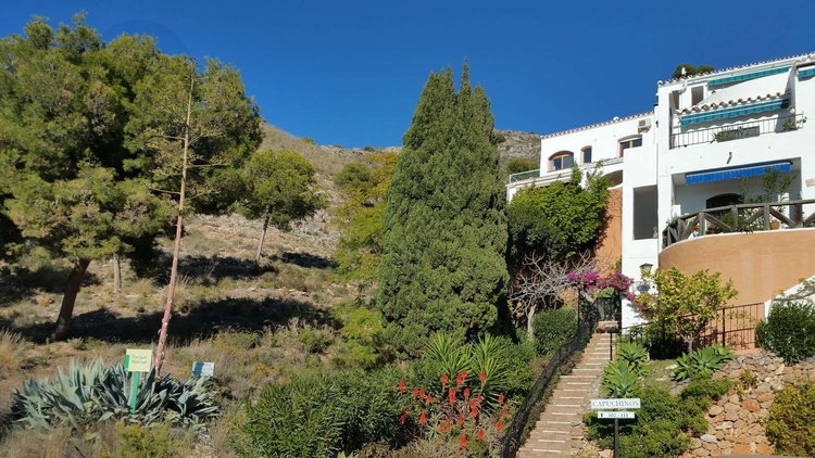 Aufgang aus der zum Penthouse, mitten im Naturpark gelegen... Sackgassenlage