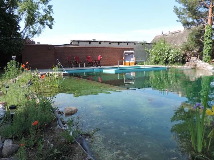 Schwimmteich