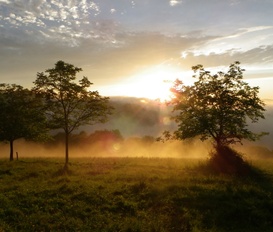 Ferienhaus Lourdes Ossun Ez Angles