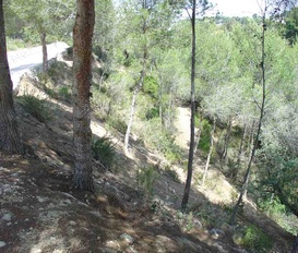 Ferienhaus La LLobella