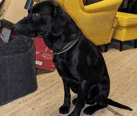 Ferienhaus Altlußheim