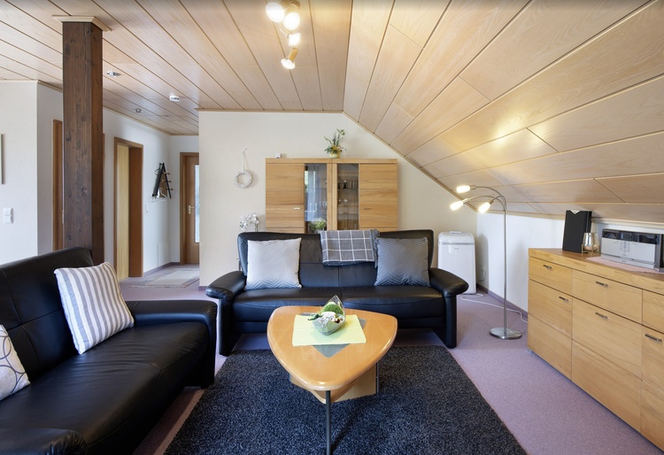 das grosszügige Wohnstudio