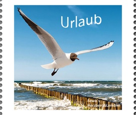 Ferienwohnung Seebad Heringsdorf OT Ahlbeck