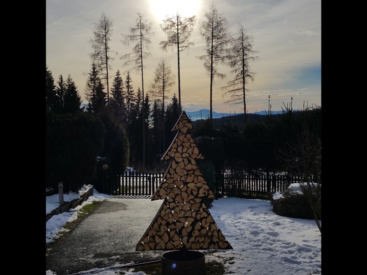 Einfahrt mit Winterstimmung