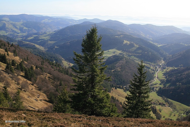 Aussicht vom Belchen