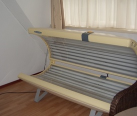 Ferienhaus Den Burg - Texel