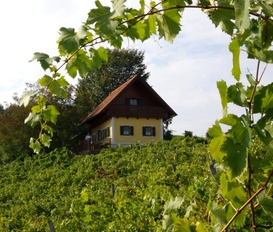 Ferienhaus Karla, nähe Straden im Vulkanland