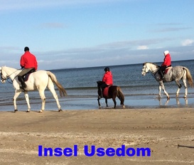 Ferienwohnung Trassenheide