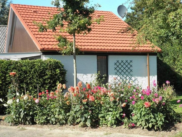 Ferienhaus Stellendam Zuid Holland Ferienhaus In Sudholland Ferienwohnung Ferienhauser Ferienwohnungen Urlaub Auf Dem Bauernhof Privat