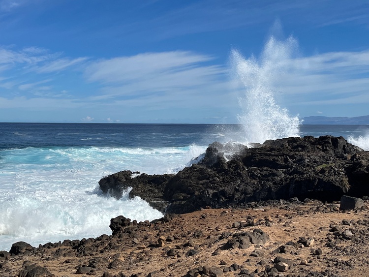 Impressionen der Umgebung