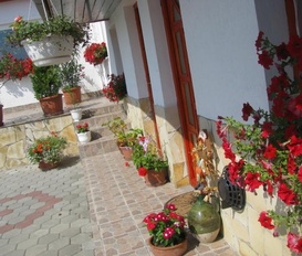 Appartment Zagyvaszanto