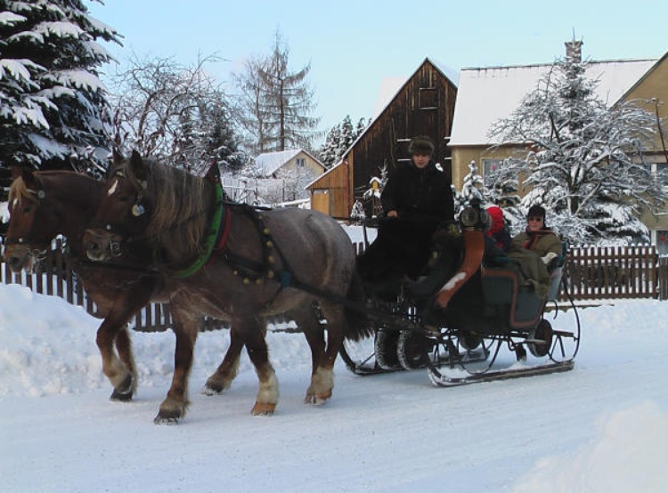 Fahrt mit dem Pferdeschlitten
