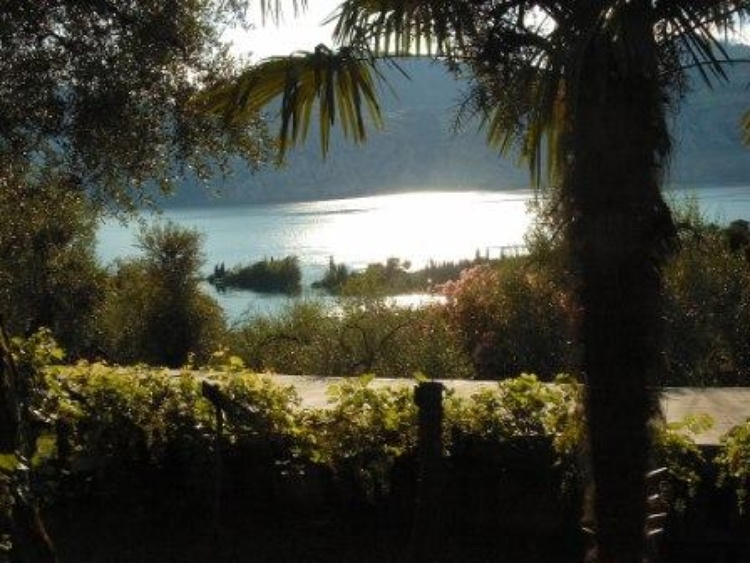 Aussicht von der Oliventerrasse