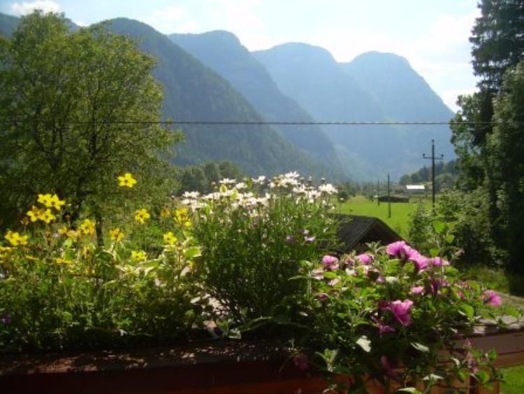 Ausblick Ferienwohnung im Sommer