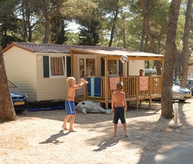 Ferienhaus Ferienwohnung Ferienhauser Ferienwohnungen Urlaub Auf Dem Bauernhof Privat