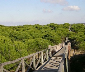 Ferienhaus Matalascañas