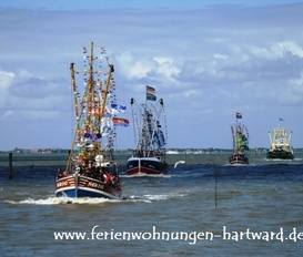 Ferienwohnung Hartward