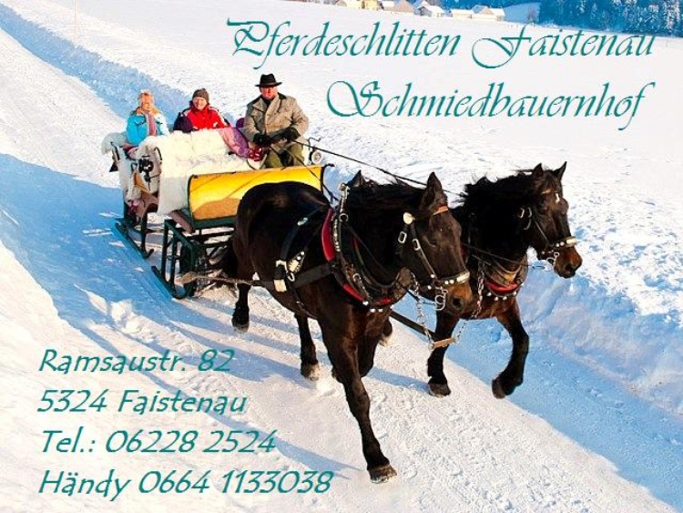 Pferdeschlittenfahrten