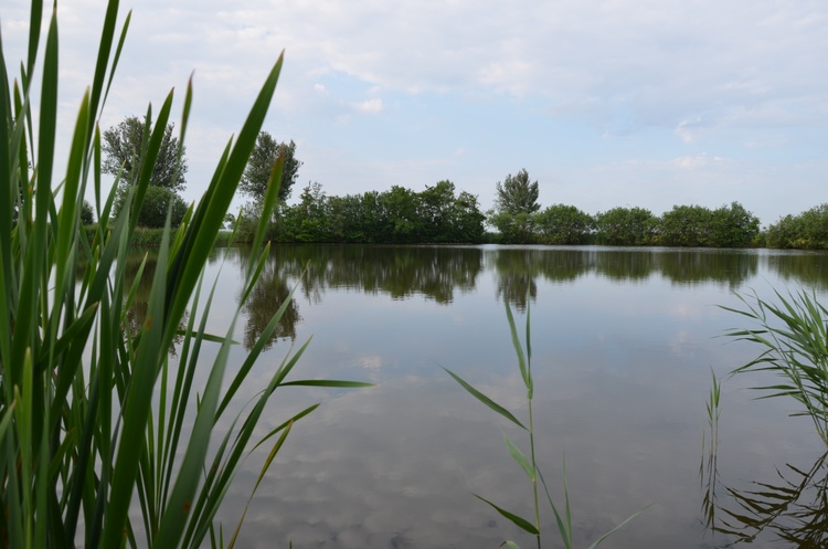 Blick auf den See vor der Terrasse -unverbaute Südlage