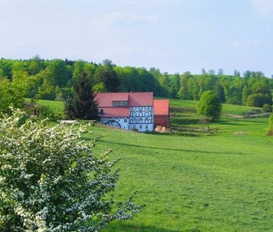 Ferienhaus Waldeck-Freienhagen