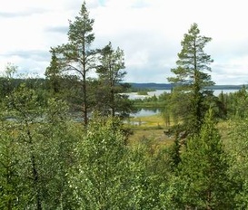 Ferienhaus Särvsjö