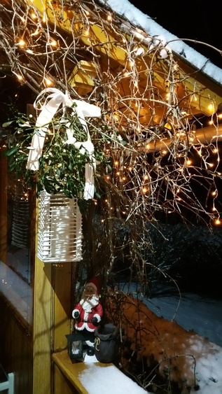 Küssen unterm Mistelzweig