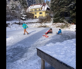 Ferienwohnung Seewald