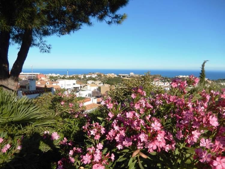 Schöner Panorama Meeresblick