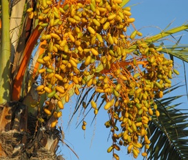 Ferienwohnung San Pedro del Pinatar