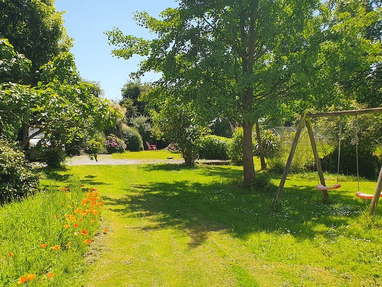 Naturgarten mit Blumen