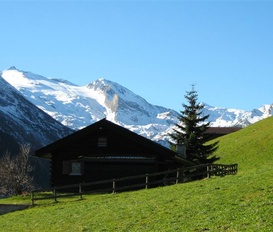 Ferienhaus Tux