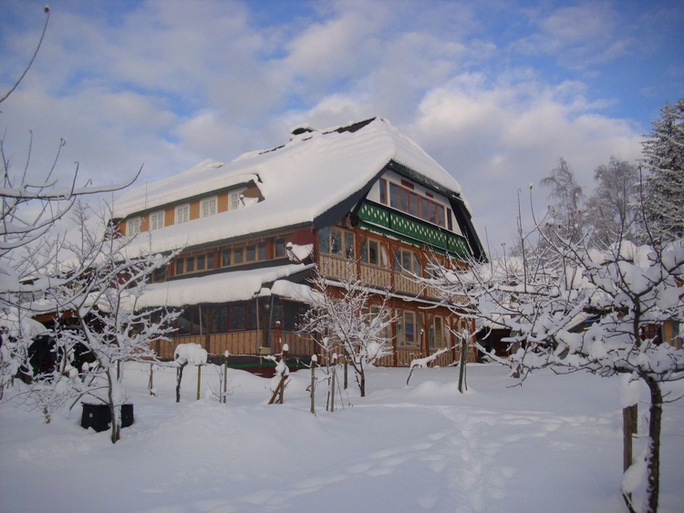 Wannenhof Januar 2021