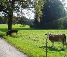 Ferienhaus Siegsdorf/ Ferienpark Vorauf