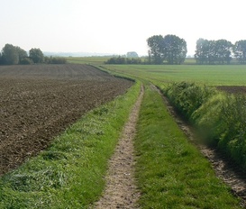 Bauernhof Saint-Martin-sur-Ecaillon 