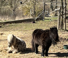 Bauernhof Käbschütztal