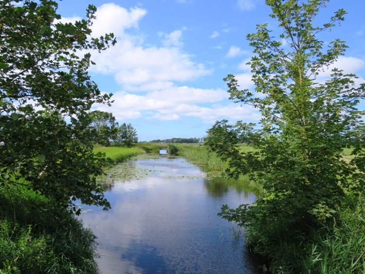 Angeln in Neuharlingersiel