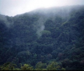 Ferienhaus Englishmans Bay