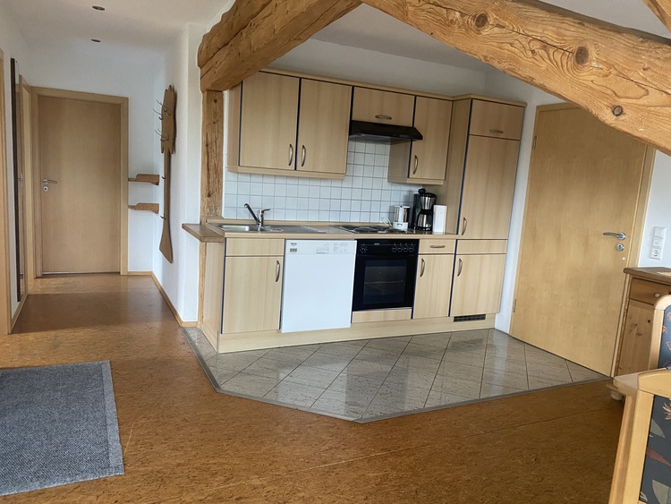 Küche im Wohn-/Esszimmer