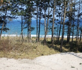 Ferienwohnung Juliusruh